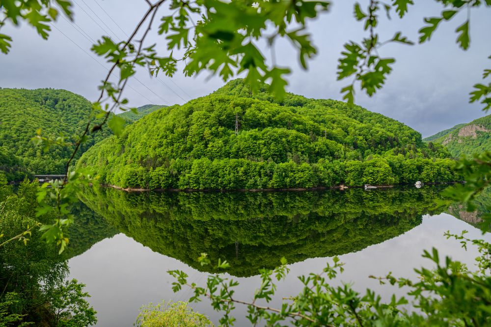 Photograph by levi bagy