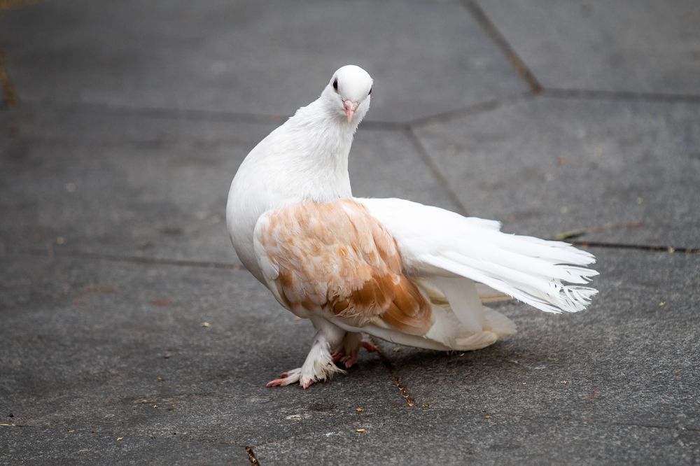 Photograph by Анастасия