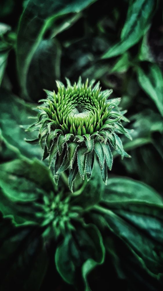 Photograph by Elina Nersesova