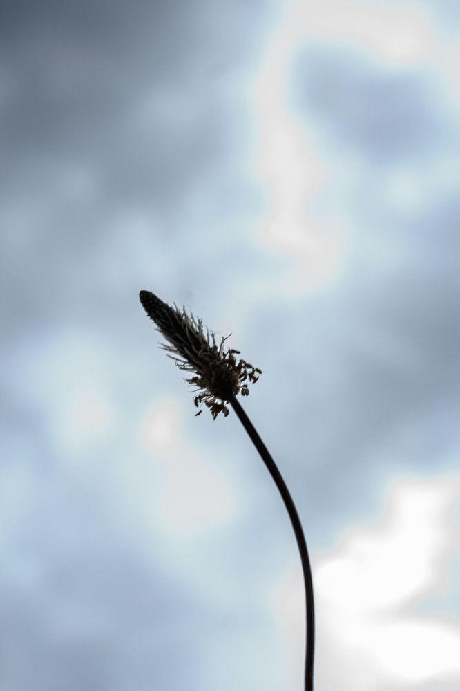 Photograph by Нелли Золотая