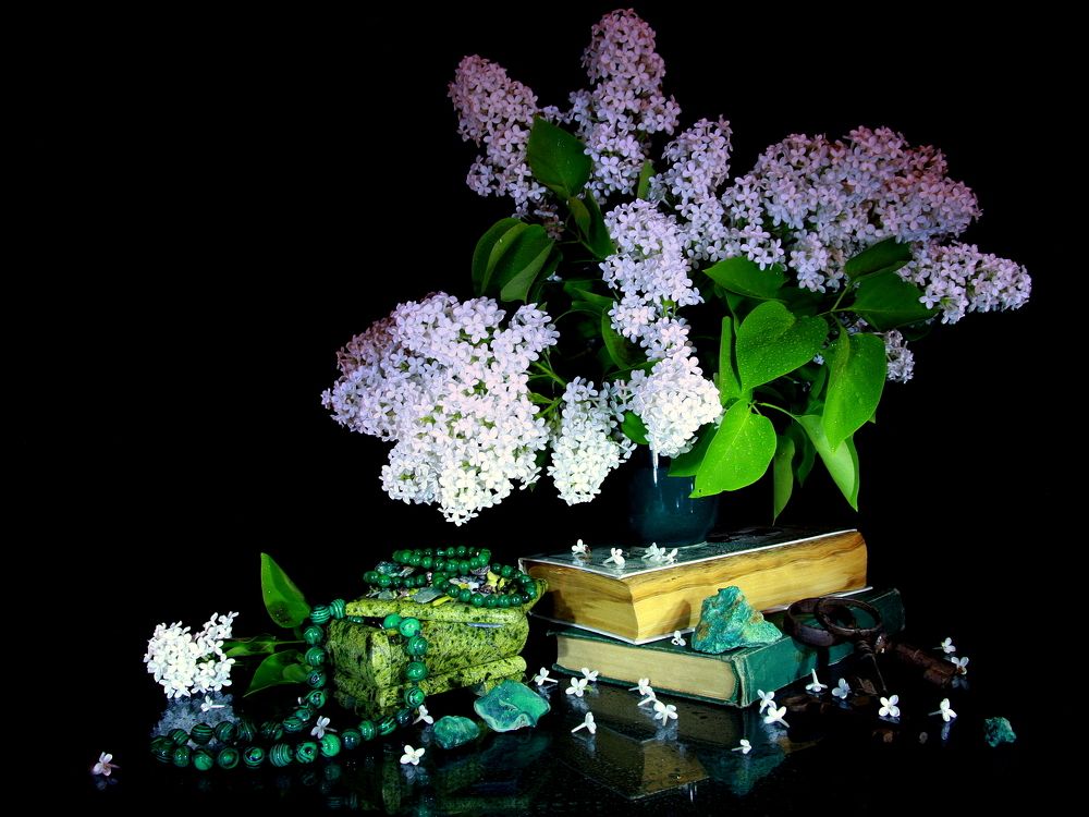 Фотография автора Nelya  Lysenko