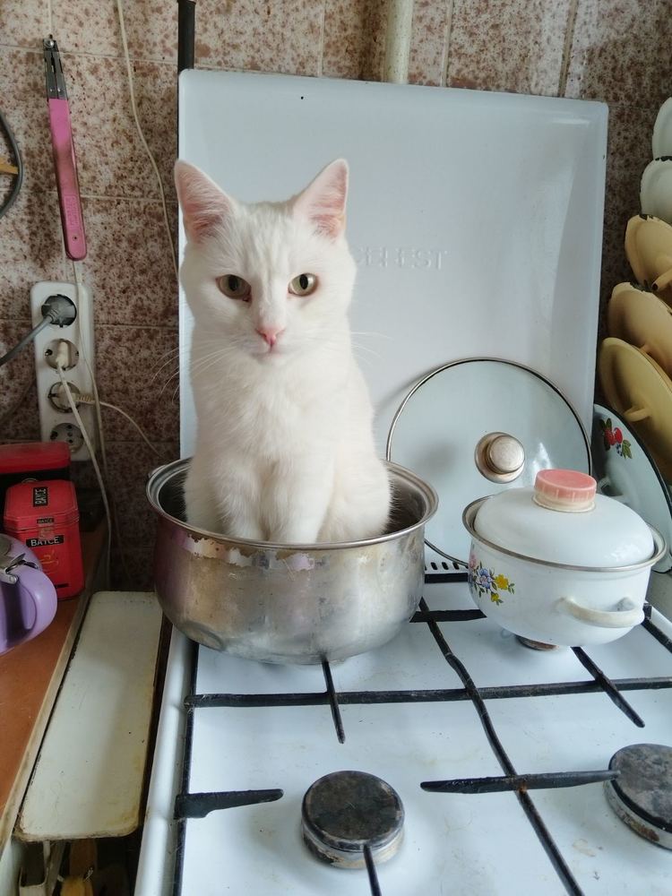 Photograph by Татьяна Солтан