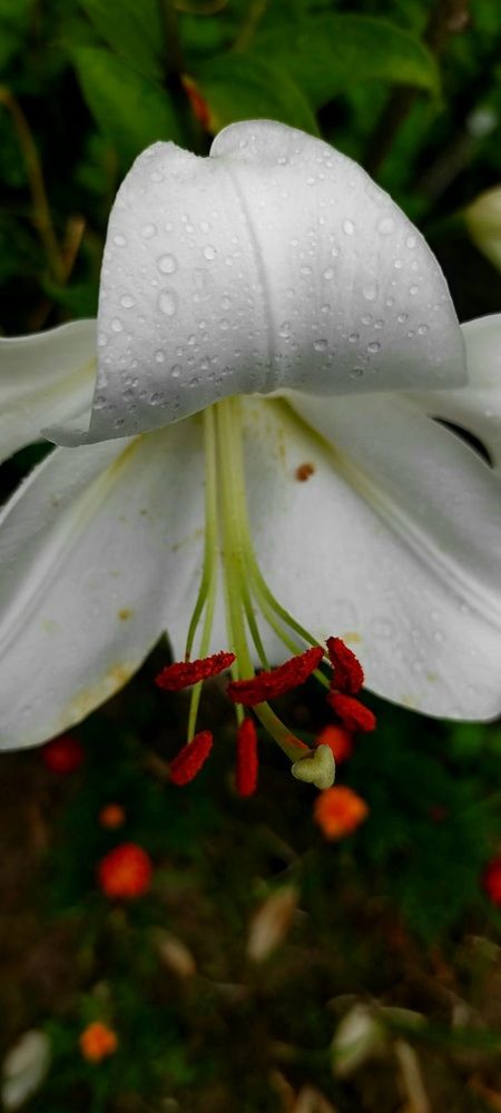 Photograph by Татьяна Солтан