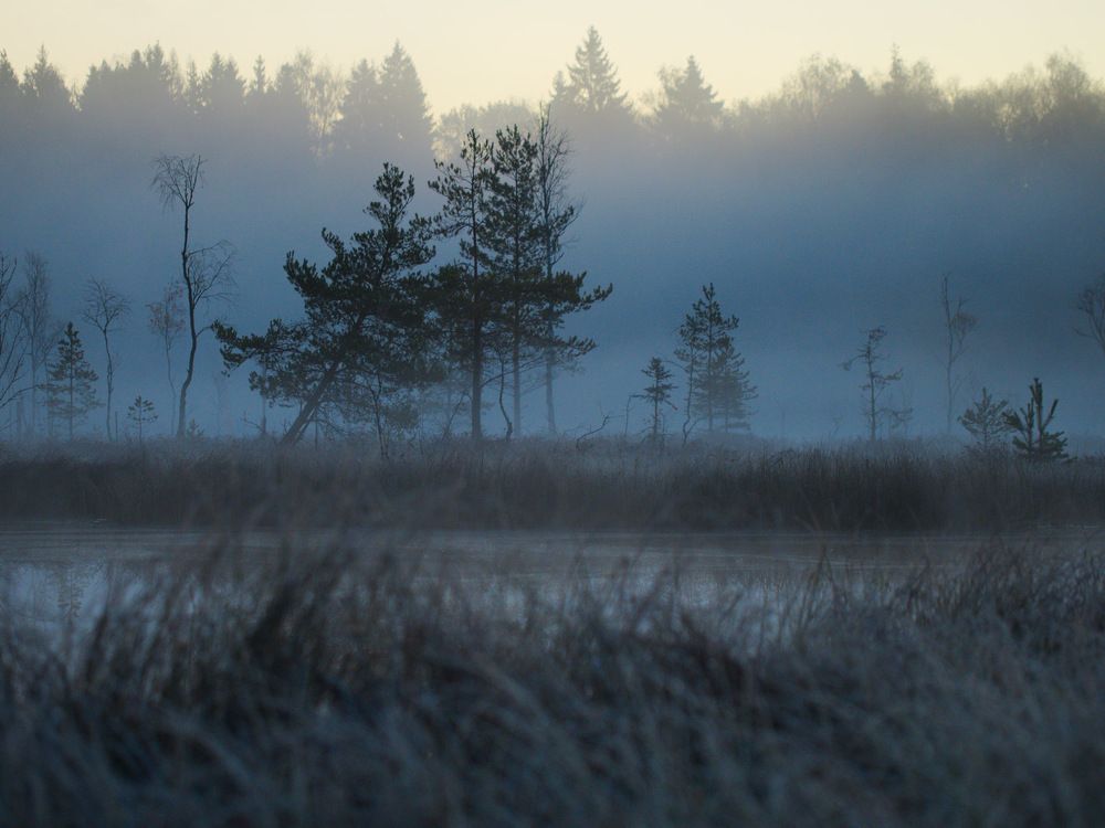 Photograph by Алексей Поляков