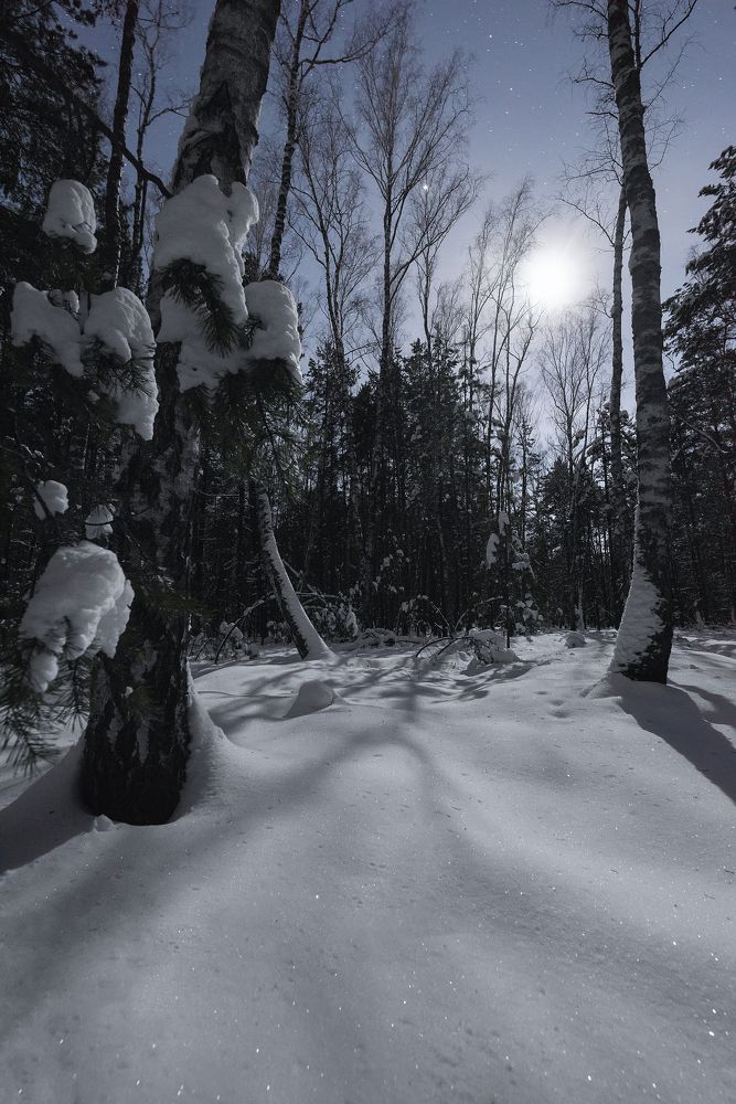 Photograph by Захаров Дмитрий