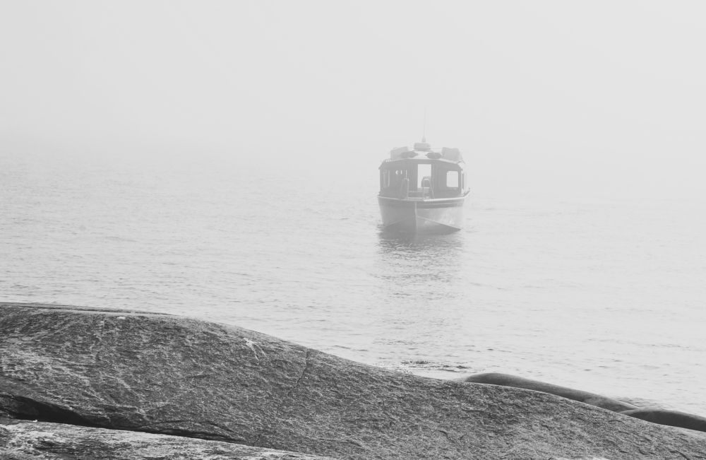 Photograph by Olga Mendosa