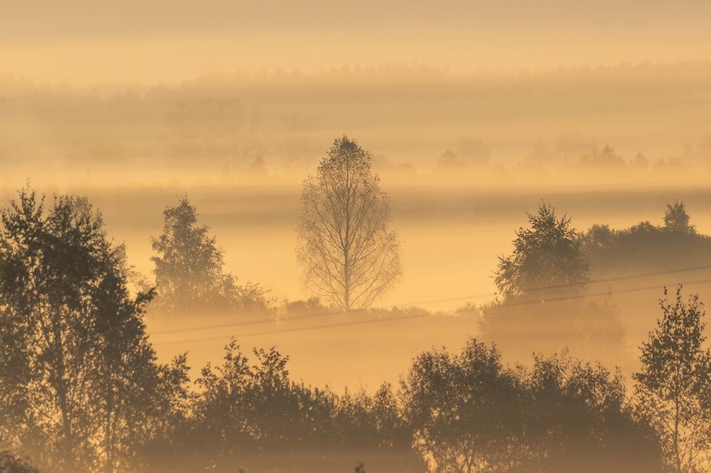 Photograph by Хабаров Сергей