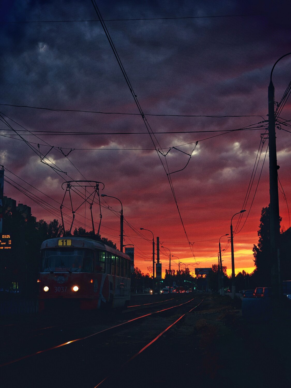Photo #11388070
