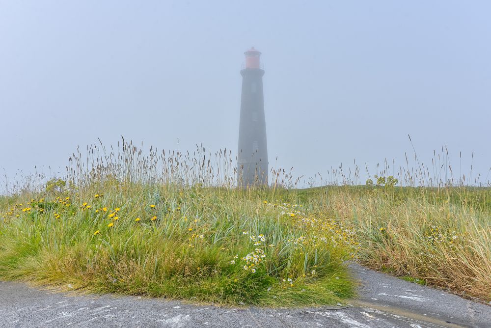 Photograph by Olga Mendosa