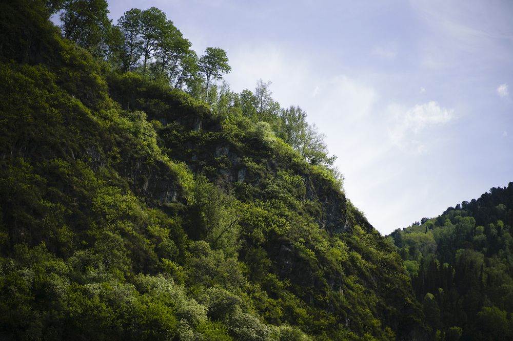 Photograph by Анна Воронова