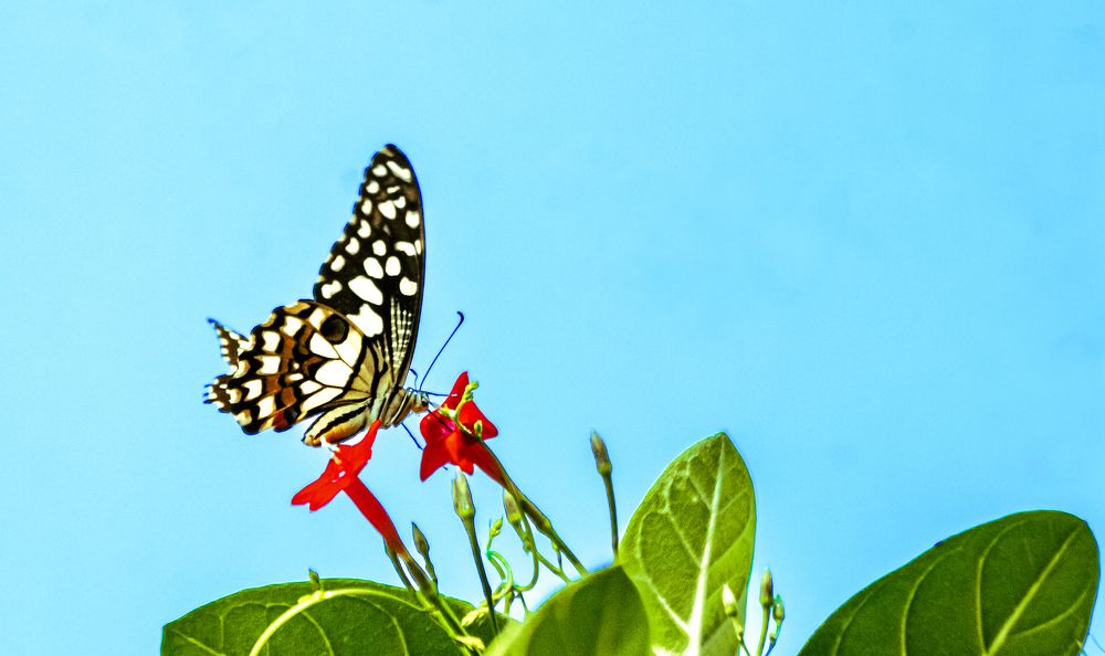 Photograph by Aquib Ahasan