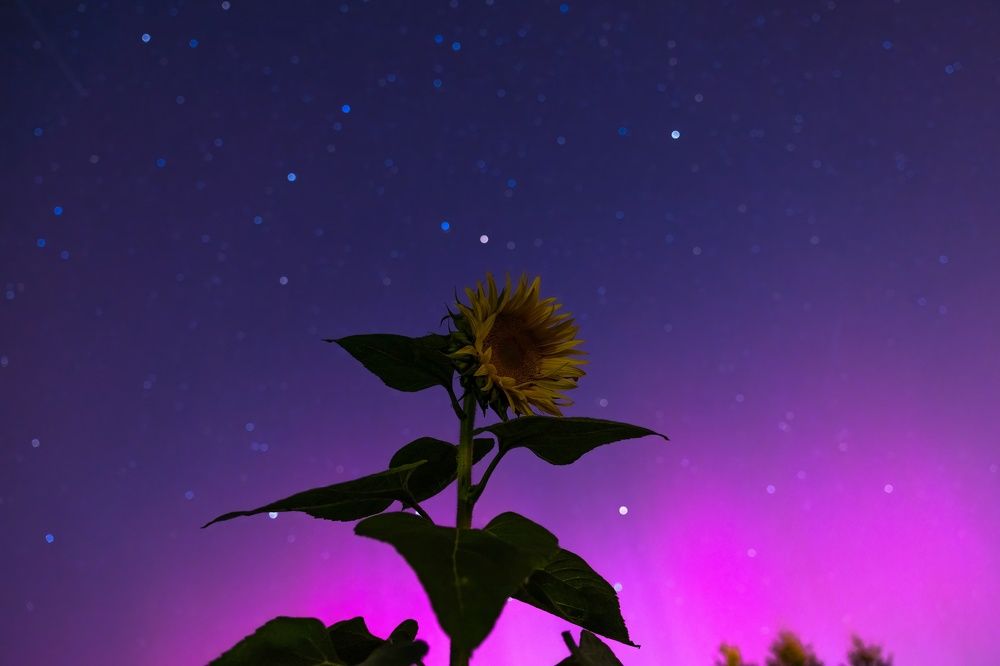 Photograph by Хабаров Сергей