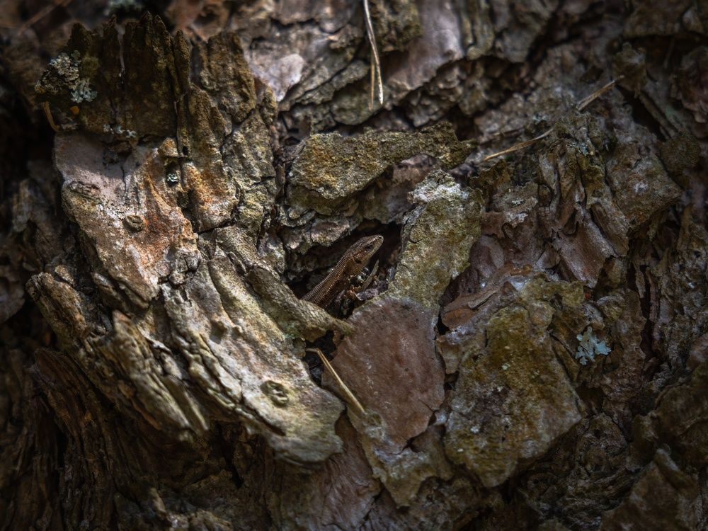 Photograph by Хабаров Сергей