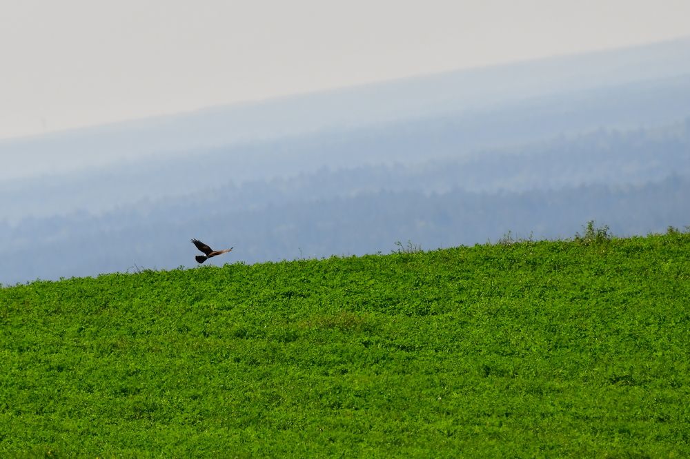 Photograph by Николай Абакумов