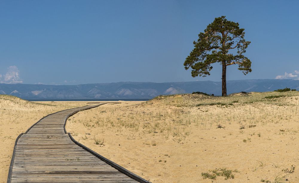 Photograph by Алена Ерошкина