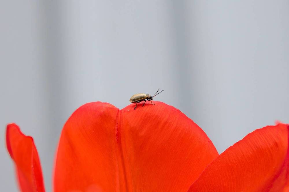 Photograph by Хабаров Сергей