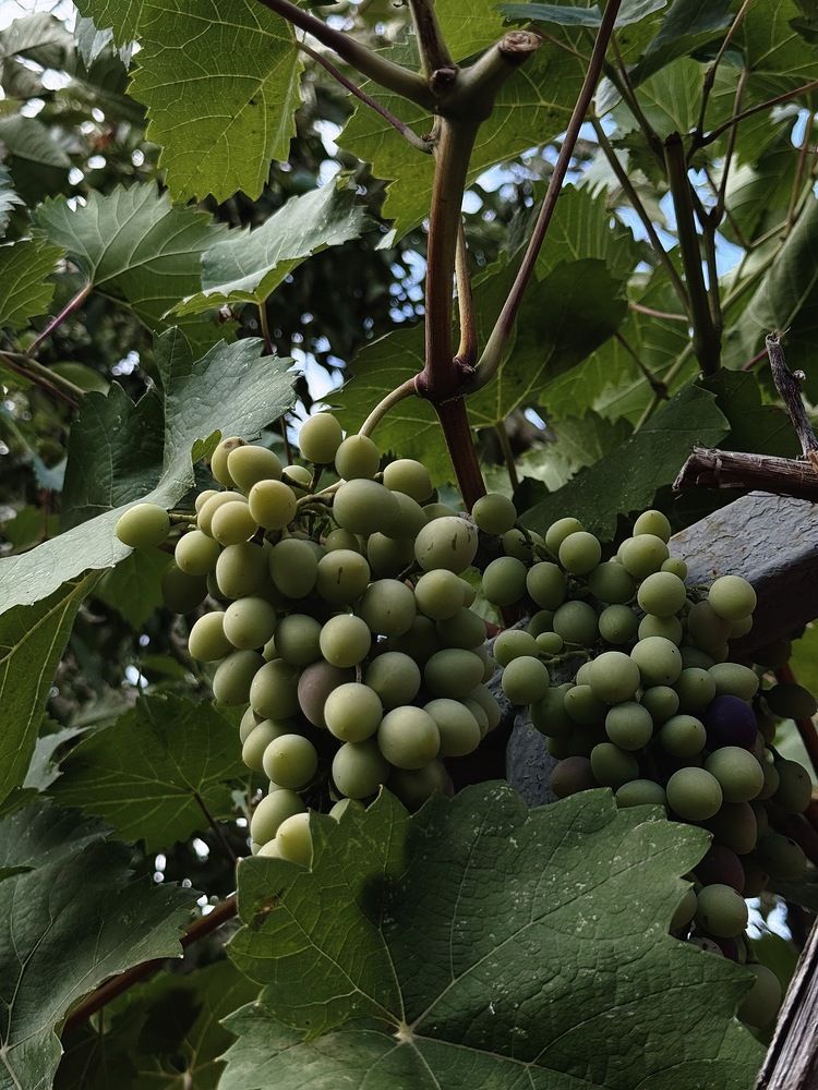 Photograph by Наталья Иванова