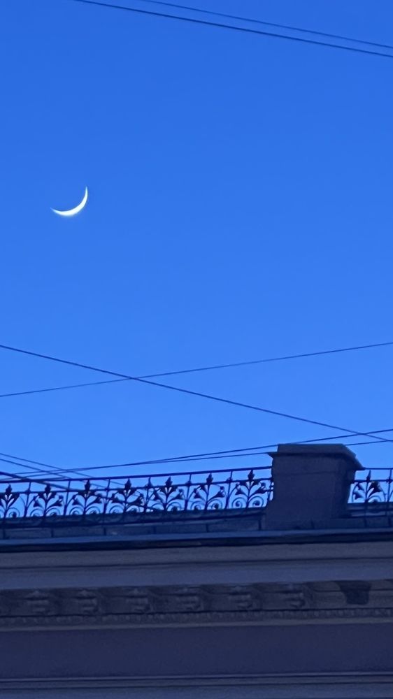 Photograph by Наталья Никитина