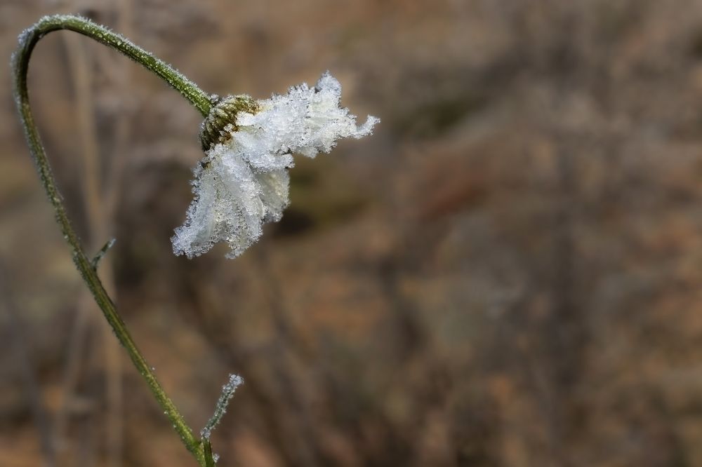 Photograph by Юлия Куликова