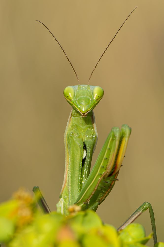 Photograph by Camilla Zocchi