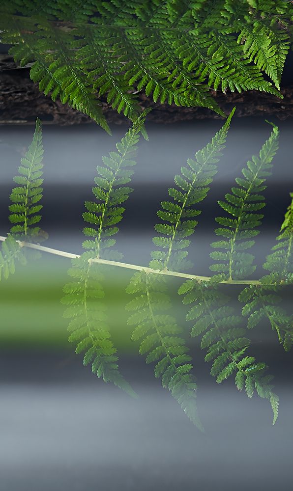 Photograph by Oscar Lata