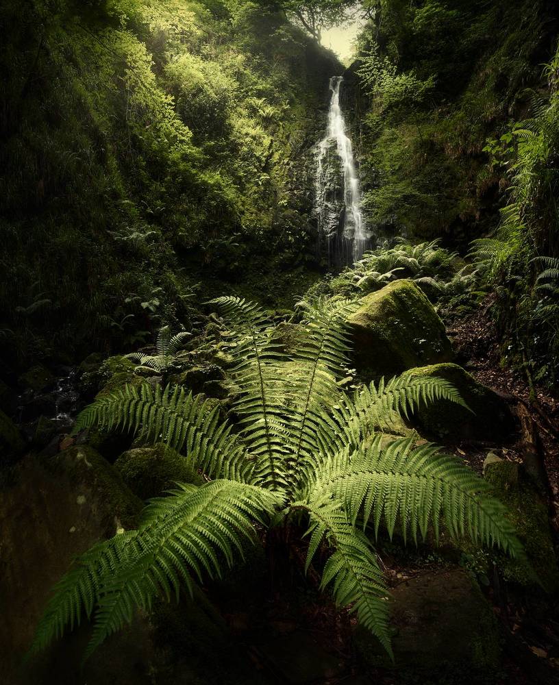 Photograph by Oscar Lata