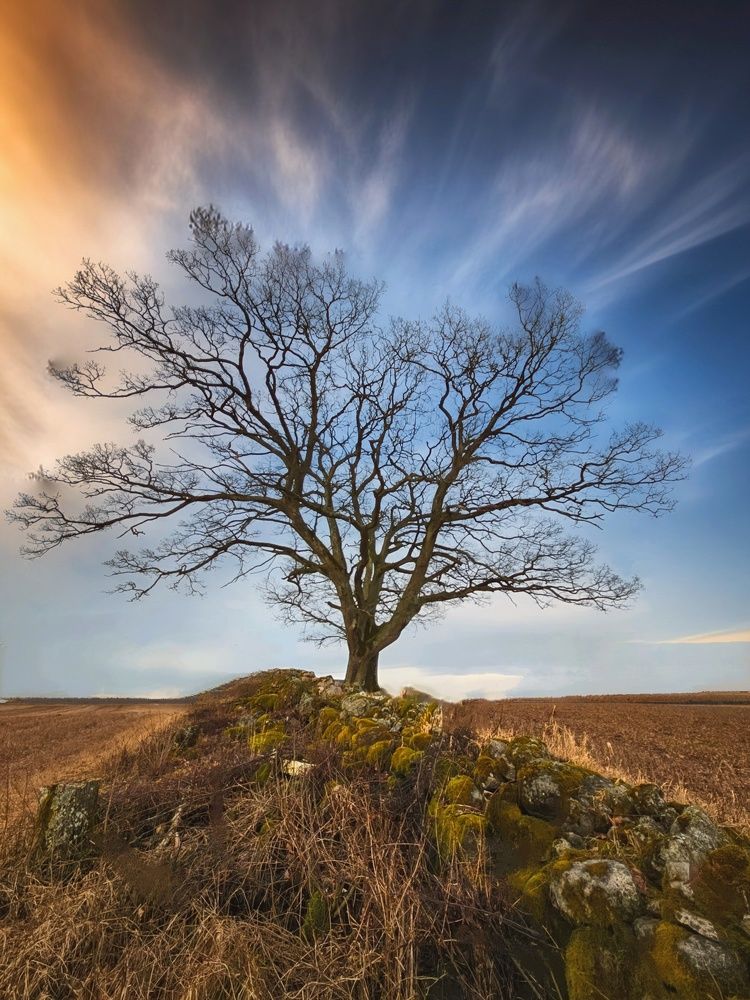 Фотография автора Alina Filimonova