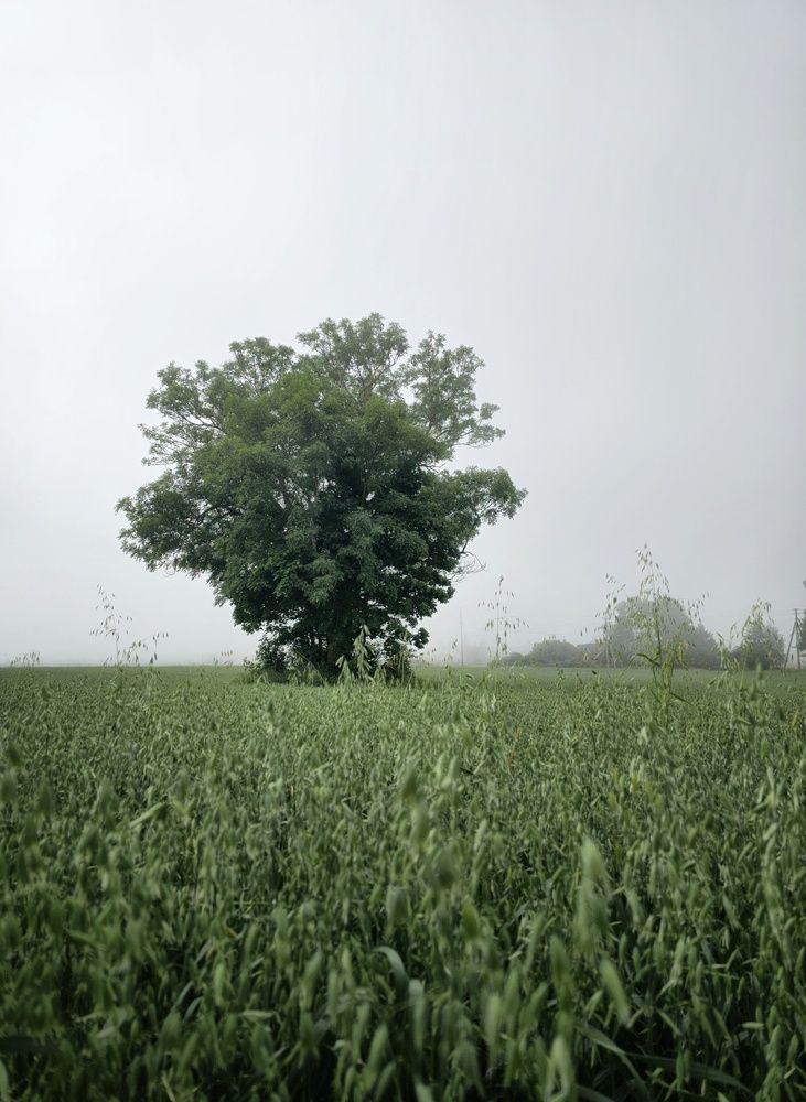 Фотография автора Alina Filimonova