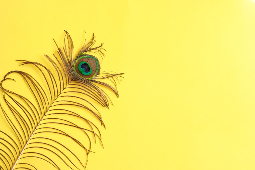 Photograph by Татьяна Рудковская