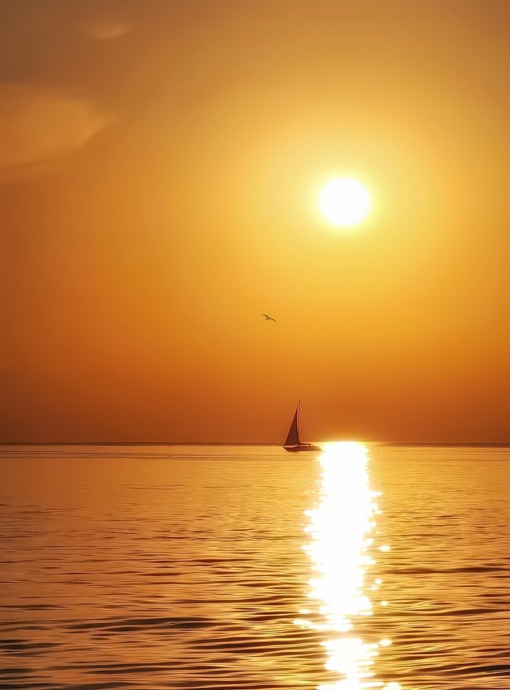 Фотография автора Alina Filimonova