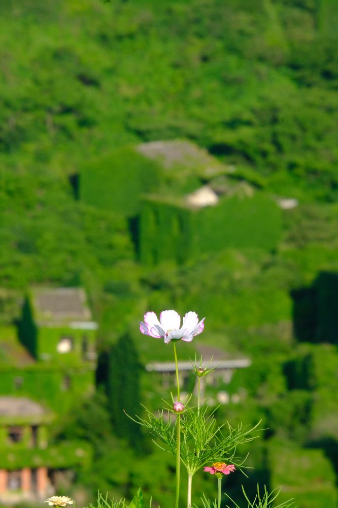 Фотография автора Александр Высоцкий