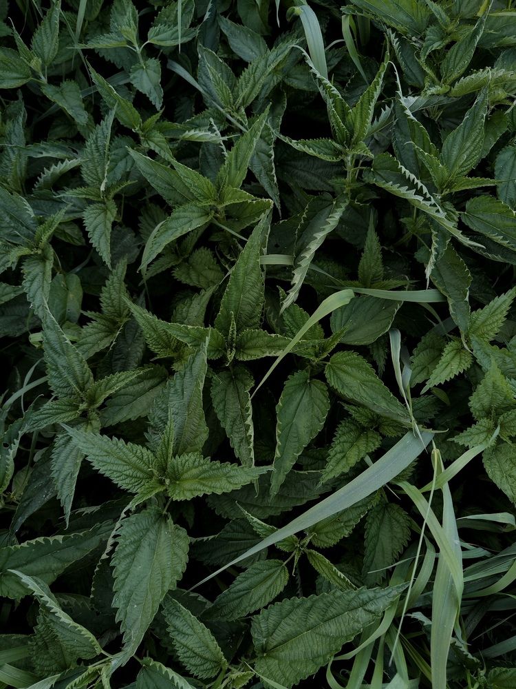 Photograph by Екатерина Стрельцова