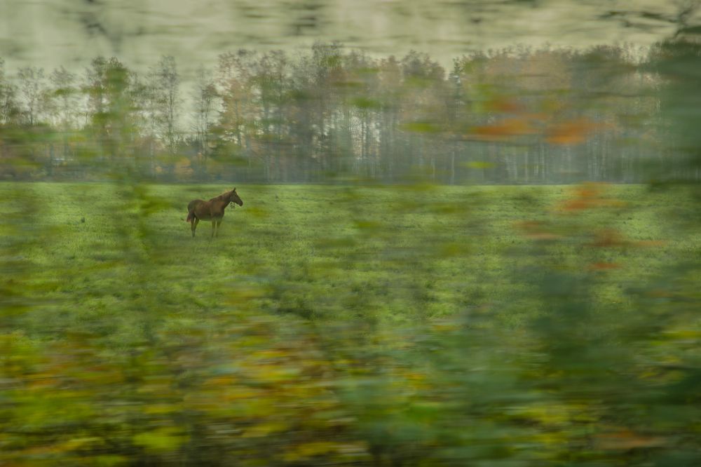 Photograph by Юлия Куликова