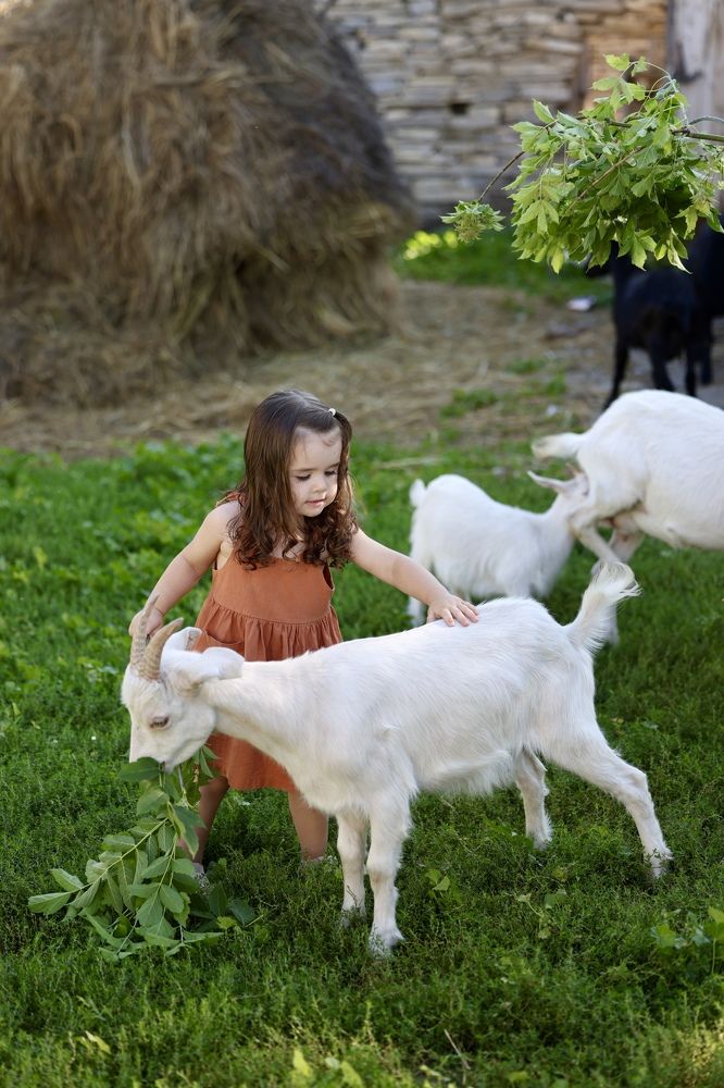 Photograph by Юлия Голубкова