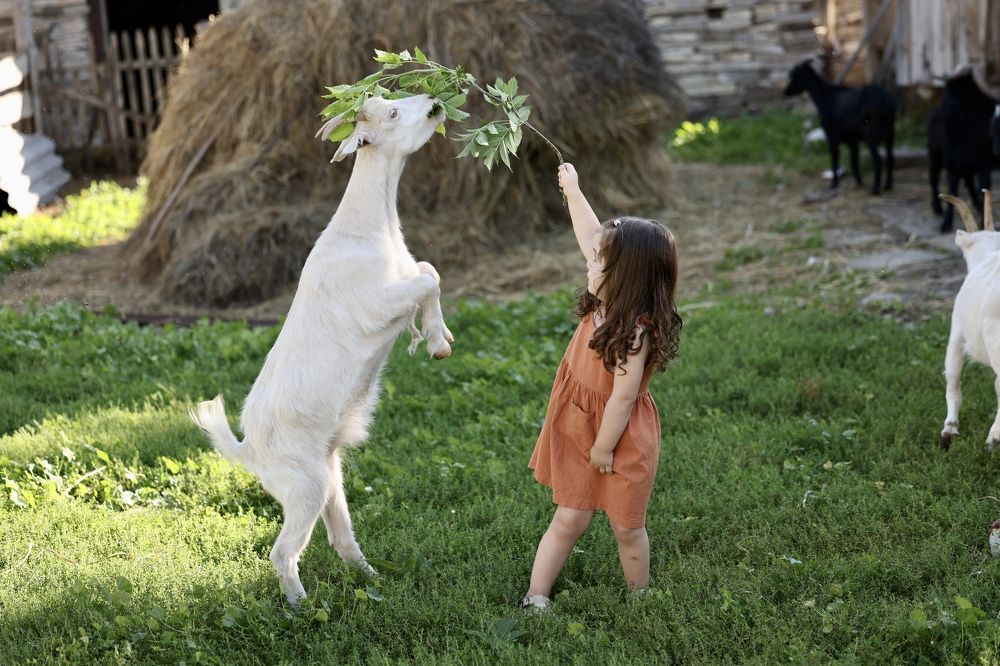 Photograph by Юлия Голубкова