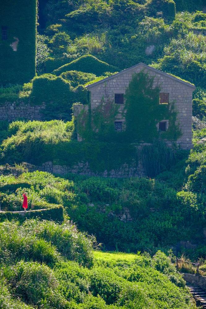 Фотография автора Александр Высоцкий