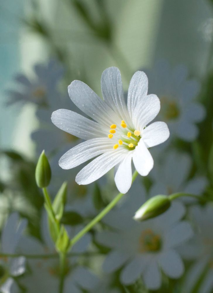 Photograph by Татьяна