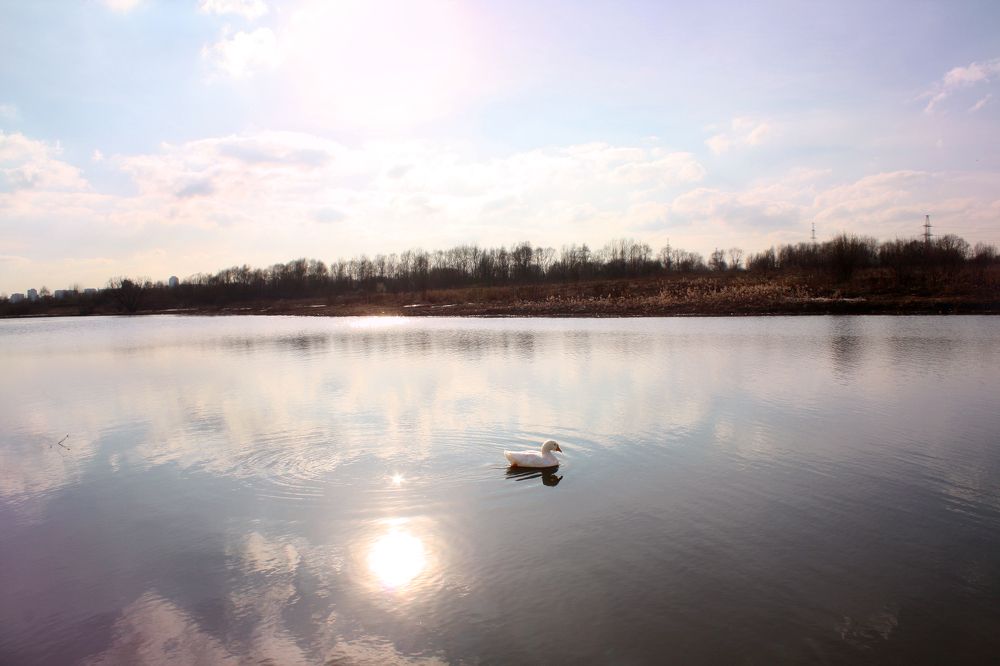 Photograph by Lilya Gold