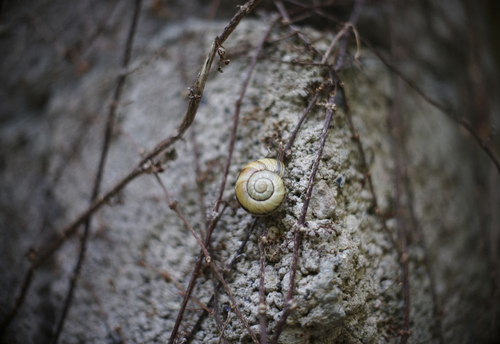 Photograph by Анна Воронова