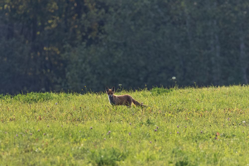 Photograph by Хабаров Сергей