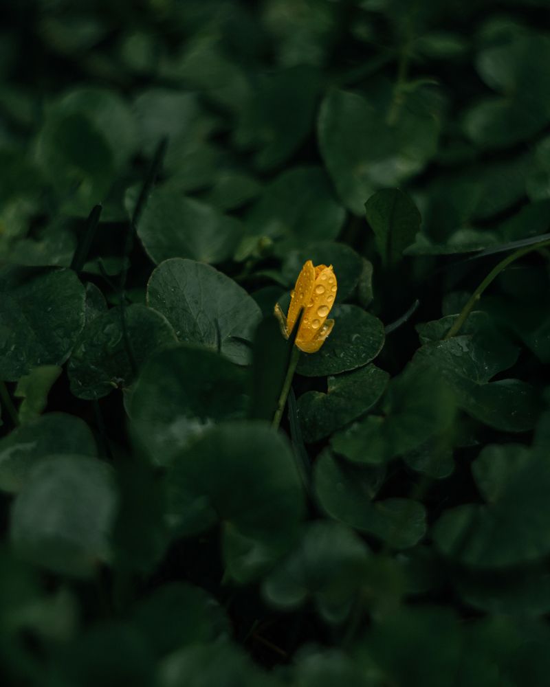 Photograph by Анастасия Черкасова