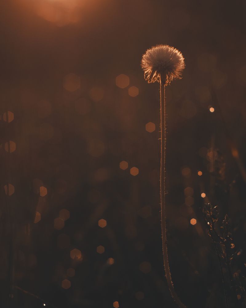 Photograph by Анастасия Черкасова