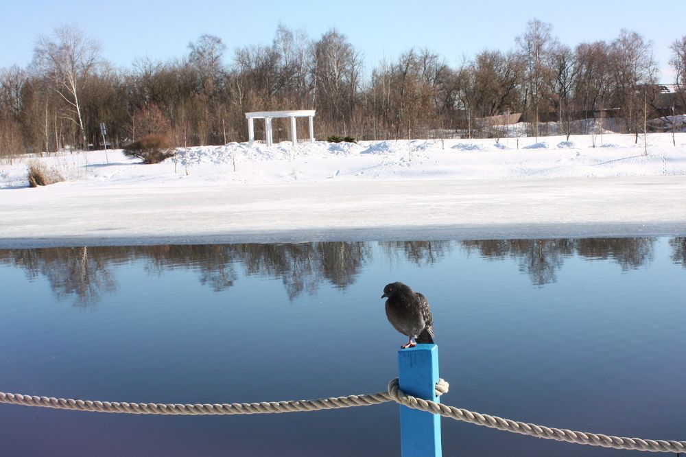 Photograph by Lilya Gold