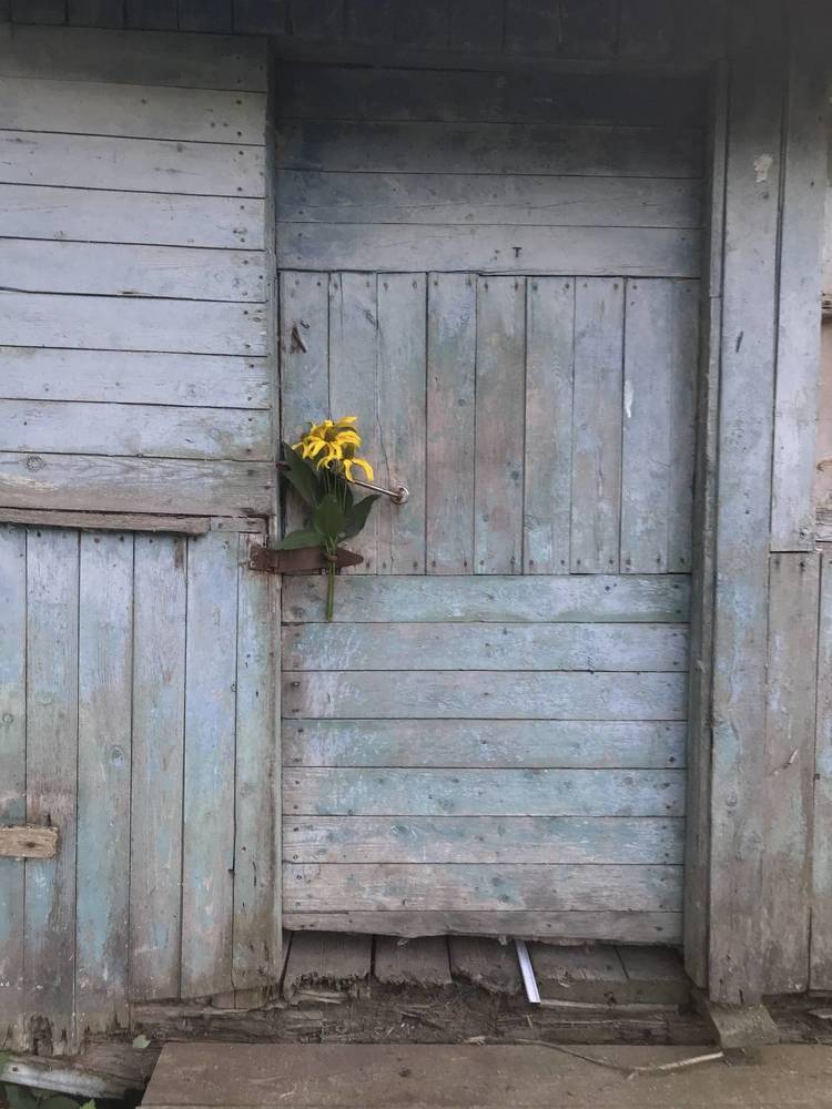 Photograph by Наталья Гусева