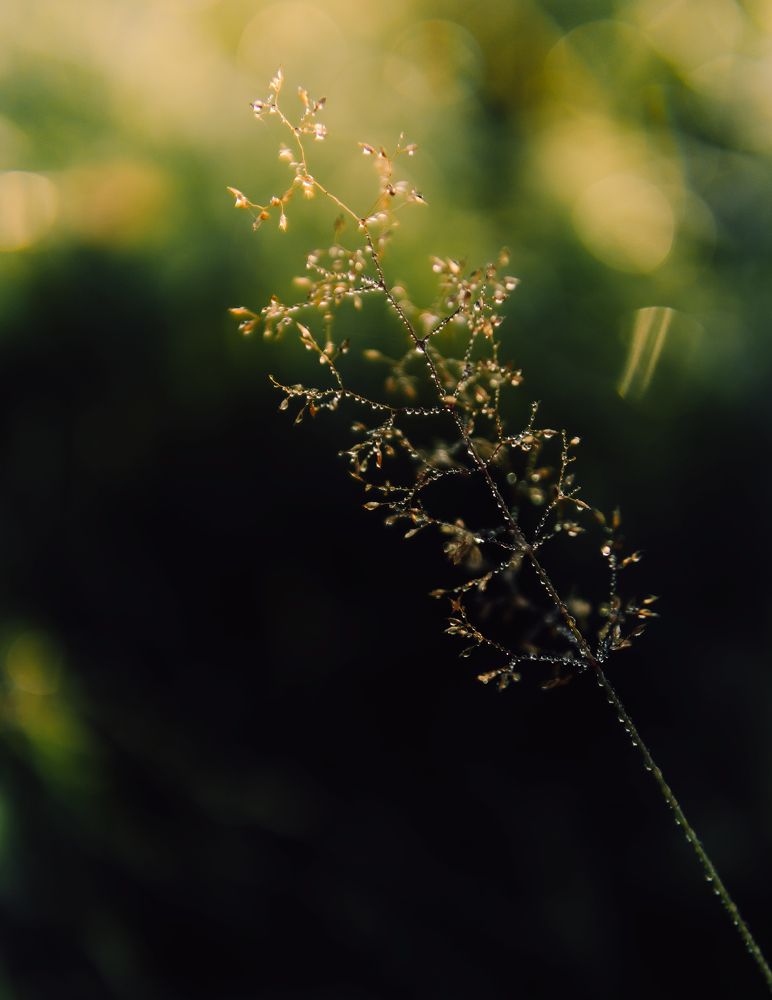 Photograph by Анастасия Черкасова