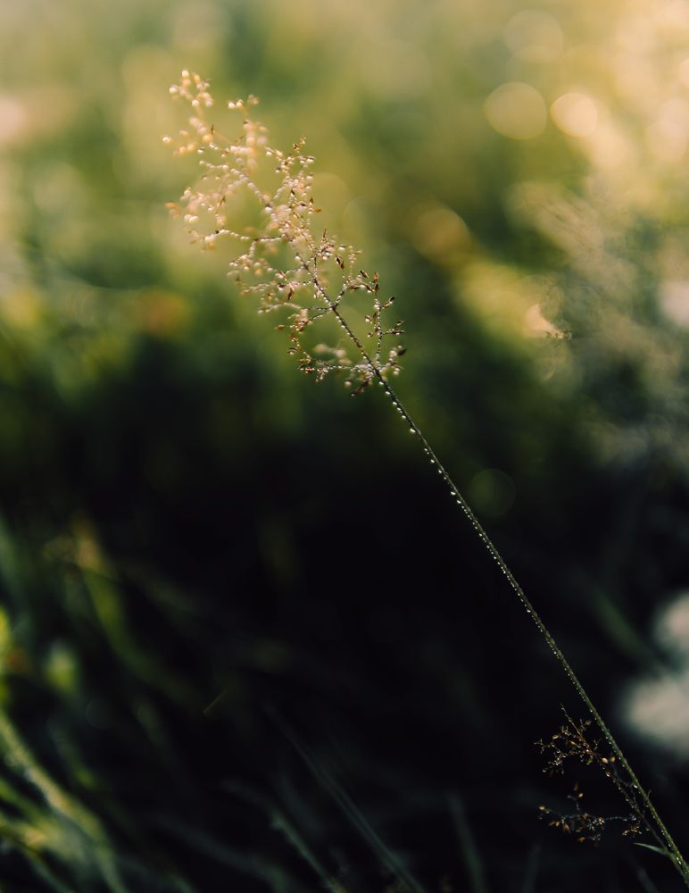 Photograph by Анастасия Черкасова