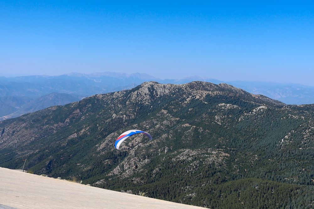 Фотография автора Алина Павлова