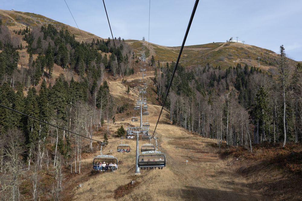 Фотография автора Алина Павлова