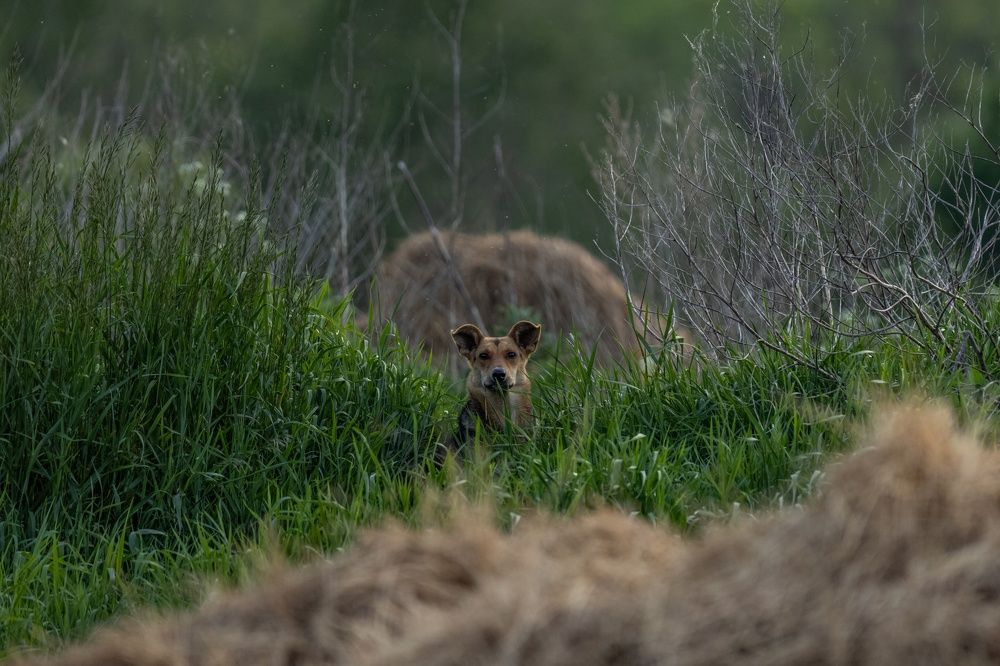 Photograph by Хабаров Сергей
