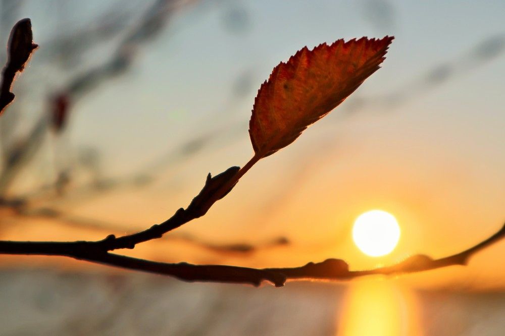 Photograph by Светлана Башаева